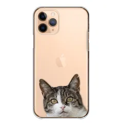 iPhone14Pro ケース カバー アイフォン14 プロ スマホケース ハードケース ねこ 猫 ネコ 子猫 黒猫 白猫 キジトラ オッドアイ かわいい 透明 クリア カラー04