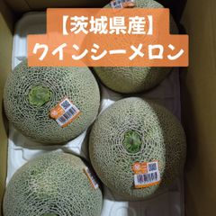 【茨城県産】 クインシーメロン
