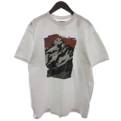 ノースフェイス パープルレーベル THE NORTH FACE PURPLE LABEL 7oz Mountain Graphic Tee 7オンス マウンテン グラフィック Tシャツ 半袖 N24FI041 オフホワイト S