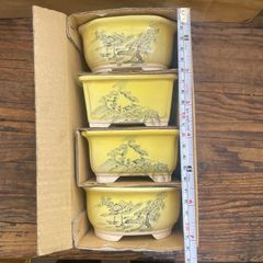 小品盆栽 文山窯 12点セット 303 小品盆栽 文山窯 12点セット 303 小品盆栽 文山窯 12点セット 303 -
