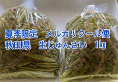 タイムセール【クール便】秋田県　生じゅんさい　1㎏