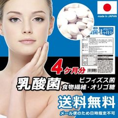 乳酸菌 サプリ ビフィズス菌 サプリメント 食物繊維 オリゴ糖 菌活 美容 健康 ダイエット 死菌 セルロース 国産 日本製 安心 安全 大容量 【sm00010524】