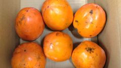つるし柿　２kg　約６個　福島県産