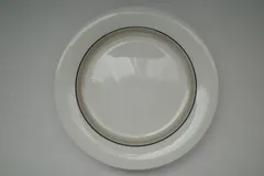 2026年最新】アラビア arcticaの人気アイテム - メルカリ