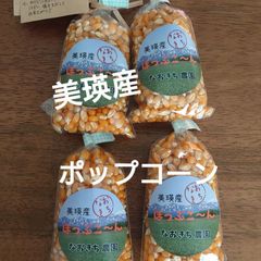 美瑛産・はじける！香ばしいポップコーン【100g×4】