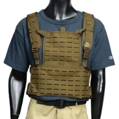 highspeedgear ハイスピードギア　チェストリグ レビュー】 High Speed Gear – AO Chest Rig | 現代戦技研究会