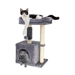 Item thumbnail for item 6806807a-d65e-41b2-b71f-a3a78f958592