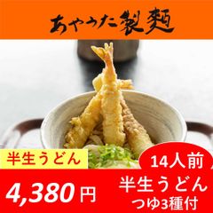 【常温】【さぬきうどん】【讃岐うどん】【あやうた製麺】半生うどん14人前（つゆ付）