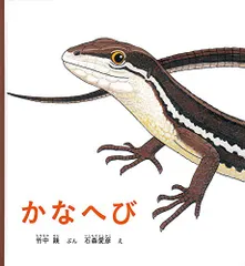 アジアのカナヘビ　爬虫類の本 アジアのカナヘビ 爬虫類の本 動植物関連書籍 ＞ 爬虫類