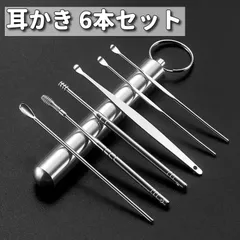 ステンレス 耳かき 6種類 ケース付き 携帯用などに◎
