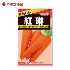 ニンジン 種 栽培しやすい 晩抽性品種 耐病性に優れる 紅琳 野菜の種 カネコ種苗