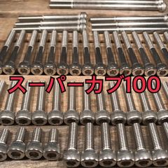 ステンレス製 スーパーカブ100 HA05 HA06 左右エンジンカバーボルト 合計14本