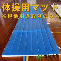 体育・体操マット（大）裏地青
