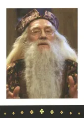 【中古】コレクションカード(男性) リチャード・ハリス(アルバス・ダンブルドア)/「ハリー・ポッター」ぱしゃこれ 実写