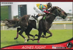 アグネスフライト❗️2000日本ダービー馬券コレクション AOKZLYEMKVC3HE475A3BMU75UQ.jpg