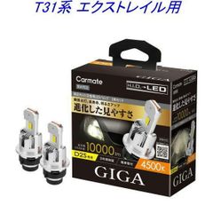【定形外郵便】カーメイト GIGA LEDヘッドバルブ D10 4500K D2S ニッサン T31系 エクストレイル用【BW905】