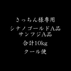 青森県産 ＂ サンふじ ＂ りんご【ご家庭用A品10kg】【送料無料】【産地直送】リンゴ 林檎