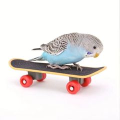 20⭐　滑り台大サイズ‼　 バードトイ　インコ　文鳥　スケボー 112⭐ 滑り台大サイズ‼ バードトイ インコ 文鳥 スケボー - メルカリ