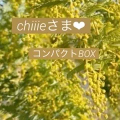 20 chiiieさま❤︎専用　人気　フレッシュ　ミモザ　コンパクトBOX　2月中旬〜下旬頃発送予定　可愛い　銀葉アカシアミモザ