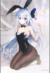 【中古】タペストリー ギンカ 描き下ろしB2タペストリー 「Switch/PCソフト GINKA 特装版/抱き枕カバー付き特装版」 ソフマップ購入特典