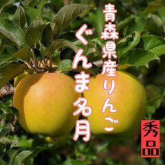 青森県産りんご★ぐんま名月秀品★自然栽培