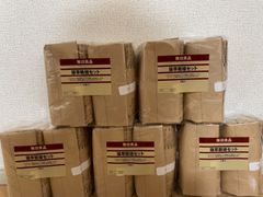 無印良品の猫草栽培セット 2個入り×5セット計10個