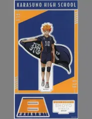2026年最新】ハイキュー!! 日向翔陽 ジャンプショップ 池袋 ミニ