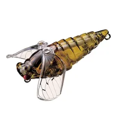 ダイトウヒメハルゼミ ペア 標本 ヒメハルゼミ／雄雌ペア 飛翔 , 昆虫標本 , 蝶の標本 販売・通販