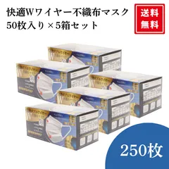 快適 ダブルワイヤー マスク不織布 2本 50枚入り 5個セット ふつうサイズ 個包装 ダブルワイヤーマスク 3層構造 99％カット 小顔シルエット 使い捨て