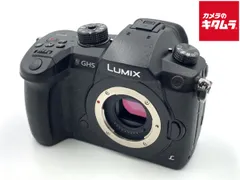 大幅値下げ】Panasonic LUMIX GH5-II ビデオ撮影キット