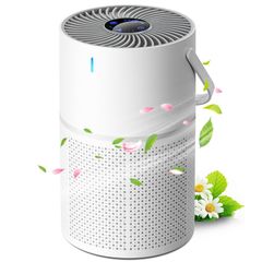 空気清浄機 小型 13畳 花粉 静音 集じん ホコリ ペット タバコ 除菌 カビ 卓上 空気清浄機 20畳 ハウスダスト アレルギー 花粉対策 空気清浄 マイナスイオン hepaフィルター 活性炭フィルター PM2.5  USB ホワイト