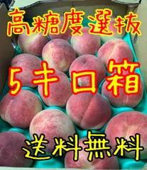 2025年最新】桃 訳あり 10kgの人気アイテム - メルカリ