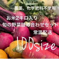 クール便配送[農薬、化学肥料不使用］お米2キロ入り旬の野菜詰め合わせセット　100サイズ