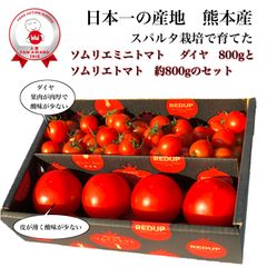 ソムリエトマト約800gとソムリエミニトマト　ダイヤ800g