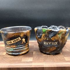 塊根植物 良形　恵比寿笑　イーヴィックス鉢付き 塊根植物 良形 恵比寿笑 イーヴィックス鉢付き 塊根植物 良形