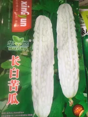 白ゴーヤの種7粒のサムネイル