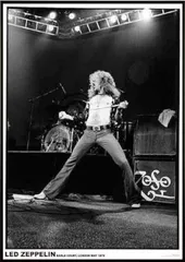 2026年最新】ロバート・プラントの人気アイテム - メルカリ