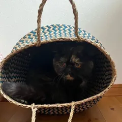 2個セット ペット　ベット　ハウス　2WAY かご 収納  自然素材  鉢カバー　8号 7号 プランターカバー 観葉植物 造花