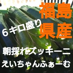 福島県産!朝採れズッキーニ!６キロ盛り