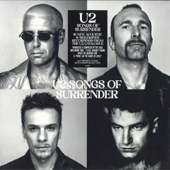 U2 WAR ピクチャーレコード ピクチャーディスク 1983年 初版 LP U2 War Picture Disc LP Black Rim Rare Item Limited Edition