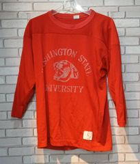 チャンピオン フットボールTシャツ 80s USA製 ウィスコンシン バッキー 