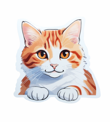 ステッカー 【 チャトラ 猫 】 耐水 100mm x 100mm 茶虎 茶トラ ちゃとら ねこ ネコ かわいい シール デカール バイク 車 ガラス
