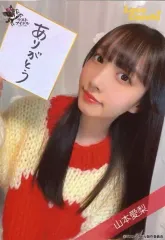【中古】生写真(女性) Love Cocchi/山本愛梨/バストアップ/ラストアイドル3周年記念 セルフプロデュース ランダム生写真