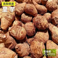 鳥取県産】むかご 10kg（500g×20袋） Sサイズ 長芋 ねばりっこ - あん