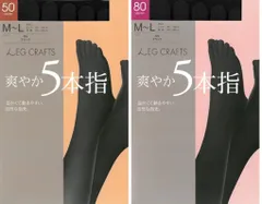 5本指タイツ 黒50/80デニール1枚健康タイツ送料無料レディース