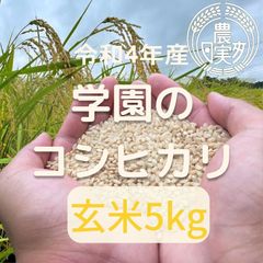農業学校の学生と作った【コシヒカリ】玄米5kg　令和4年産新米　お米5キロ