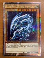 遊戯王　ARS10青眼の白龍　ブルーアイズホワイトドラゴン　25th 英語 2025年最新】ブルーアイズホワイトドラゴン 25th 英語の人気