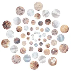 【迅速発送】SUNNYCLUE　夏の海　60個6サイズ　チャーム　シェル　デコパーツ　ビーチ　ペンダント　アクセサリー　貝殻　セット　ピアス　円形　パーツ　貝　イヤリング　オーシャン　ブレスレット　ハワイアン　ネックレス　海洋　てんねん素材　貝細工　海洋シリー