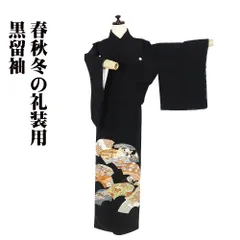 お歳暮 人気 オシャレ 美品 紗袷 夏着物 “丁度いい静と動と涼を届ける夏草と笹と梅の蕾 着物・浴衣