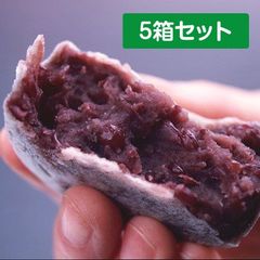 名代 大きんつば 6個入（3箱）+ 10個入（2箱）